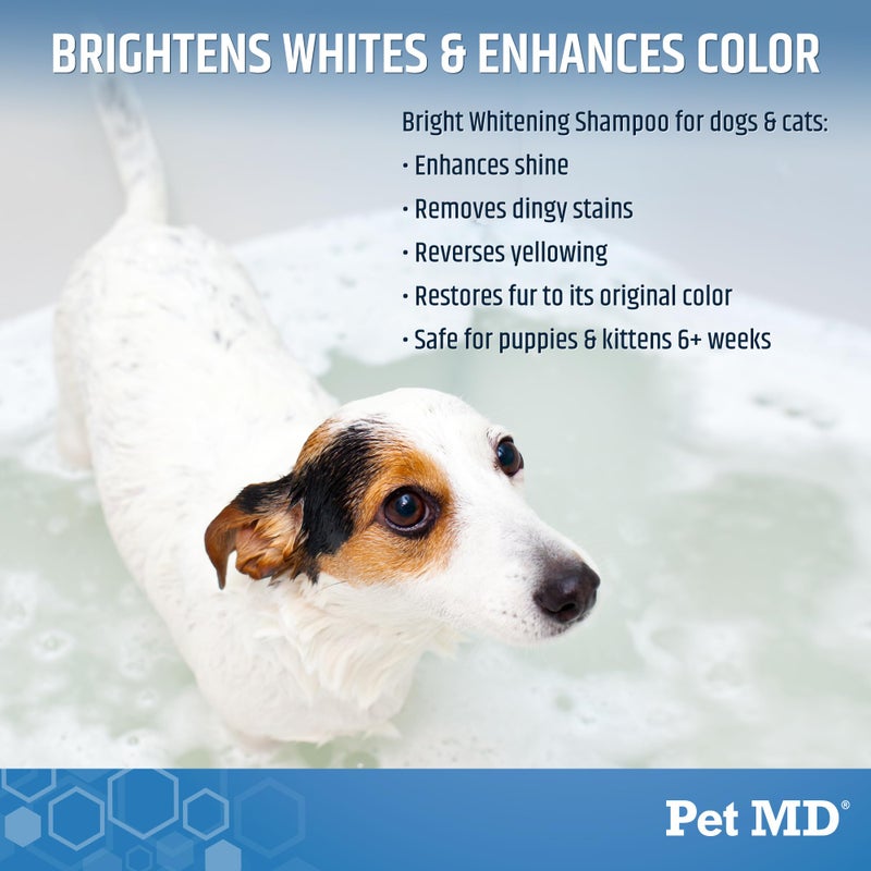 Pet MD Bright Whitening Shampoo for Dogs & Cats - Tearless Protein Enriched Shampoo w/Oatmeal for Brightening White & Light Colored Coats - Cleans, Adds Luster, & Controls Matting & Tangling - 12 oz - Image 2